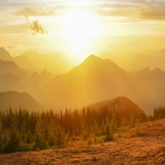 Meet your Posher, Diana - Picture 2 of 3